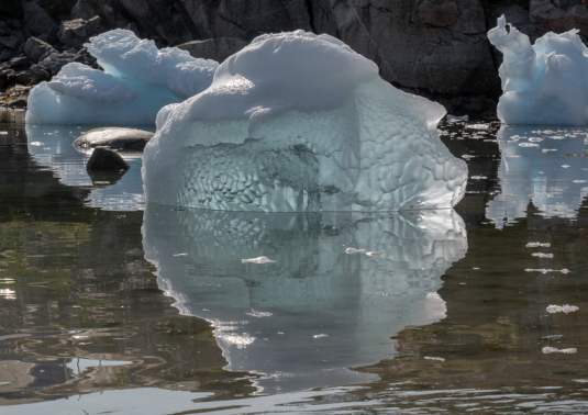 F2010 Lilian Stubbe The soul of the ice jpg
